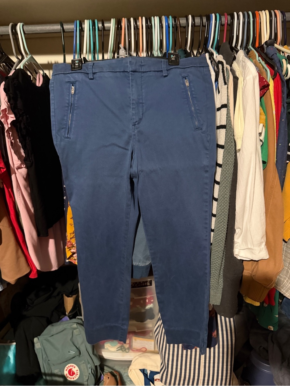 Level 99 Slim Ankle Pants in Navy Blue
